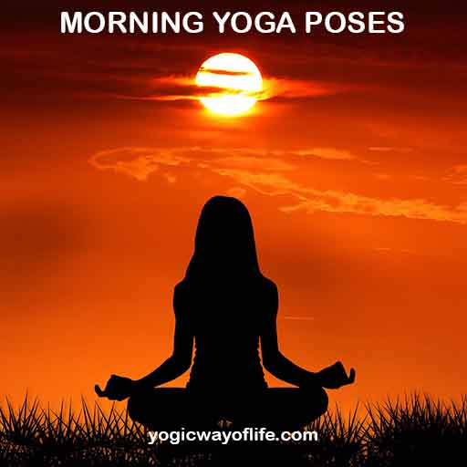 Morning Yoga Poses for Beginners