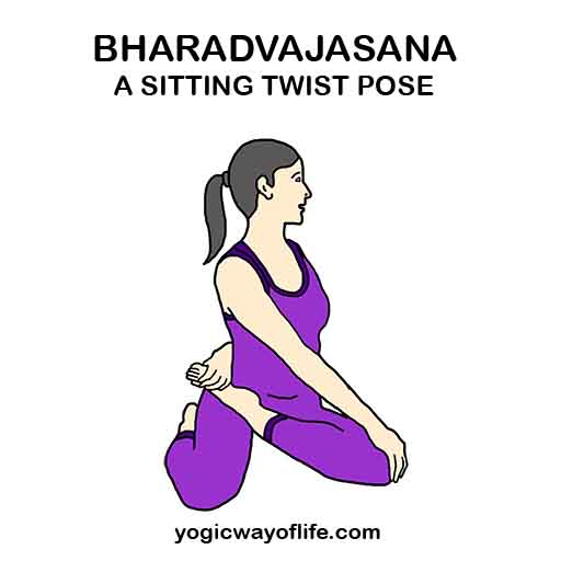 Bharadvajasana